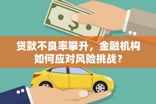 秀林贷款不良率攀升，金融机构如何应对风险挑战？