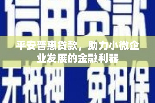 秀林平安普惠贷款，助力小微企业发展的金融利器