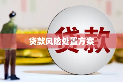 秀林贷款风险处置方案