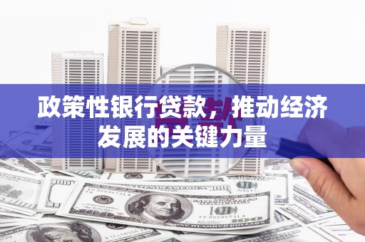 秀林政策性银行贷款，推动经济发展的关键力量