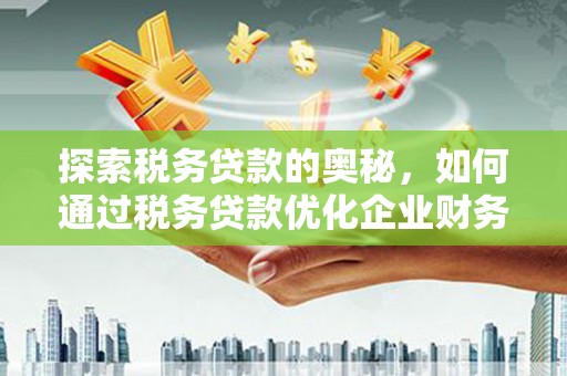 秀林探索税务贷款的奥秘，如何通过税务贷款优化企业财务