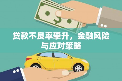 秀林贷款不良率攀升，金融风险与应对策略
