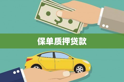 秀林保单质押贷款