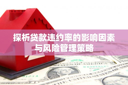 秀林探析贷款违约率的影响因素与风险管理策略