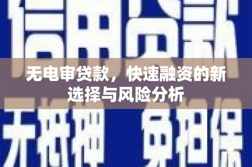 秀林无电审贷款，快速融资的新选择与风险分析