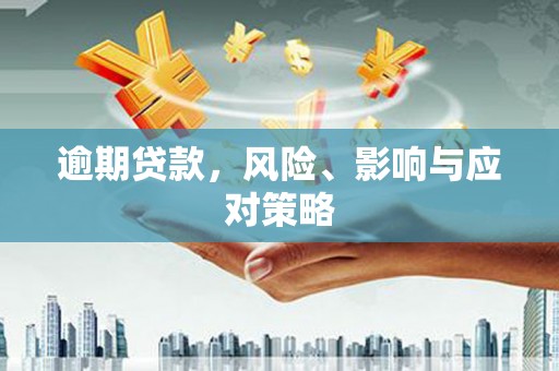 秀林逾期贷款，风险、影响与应对策略