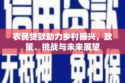 秀林农民贷款助力乡村振兴，政策、挑战与未来展望