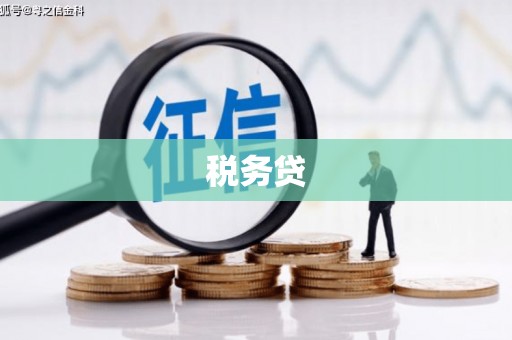 秀林税务贷
