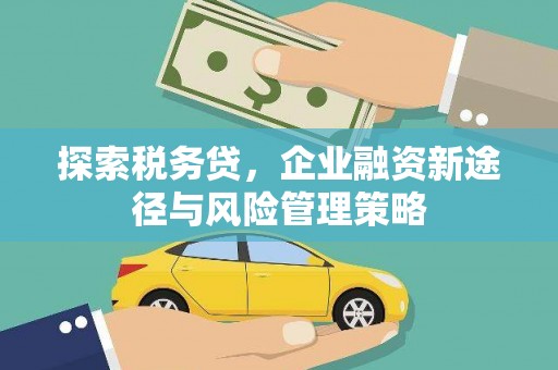 秀林探索税务贷，企业融资新途径与风险管理策略