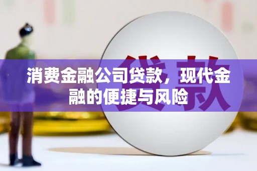 秀林消费金融公司贷款，现代金融的便捷与风险