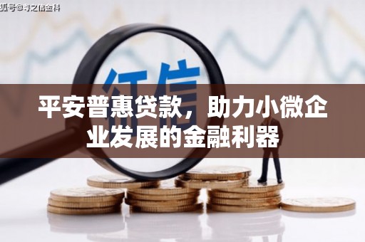秀林平安普惠贷款，助力小微企业发展的金融利器