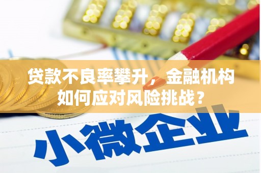 秀林贷款不良率攀升，金融机构如何应对风险挑战？