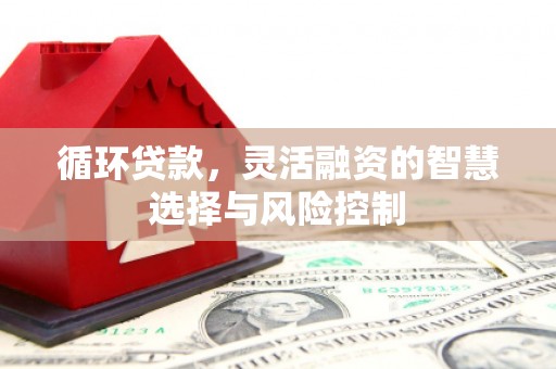 秀林循环贷款，灵活融资的智慧选择与风险控制