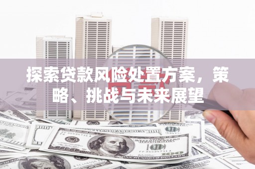 秀林探索贷款风险处置方案，策略、挑战与未来展望