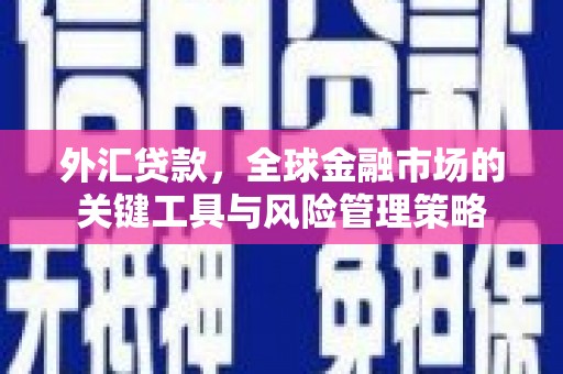 秀林外汇贷款，全球金融市场的关键工具与风险管理策略