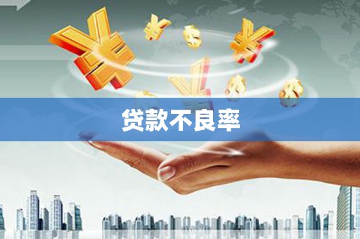 秀林贷款不良率
