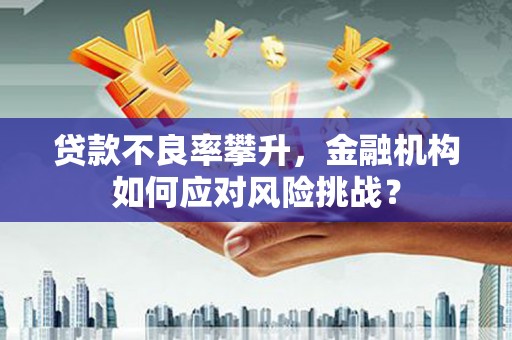 秀林贷款不良率攀升，金融机构如何应对风险挑战？