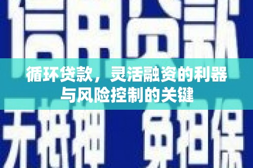 秀林循环贷款，灵活融资的利器与风险控制的关键
