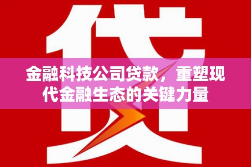 秀林金融科技公司贷款，重塑现代金融生态的关键力量