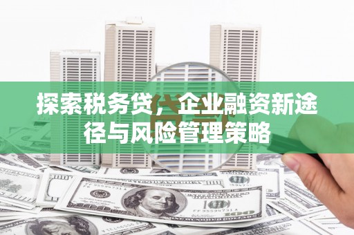秀林探索税务贷，企业融资新途径与风险管理策略