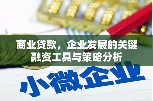 秀林商业贷款，企业发展的关键融资工具与策略分析
