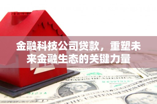 秀林金融科技公司贷款，重塑未来金融生态的关键力量