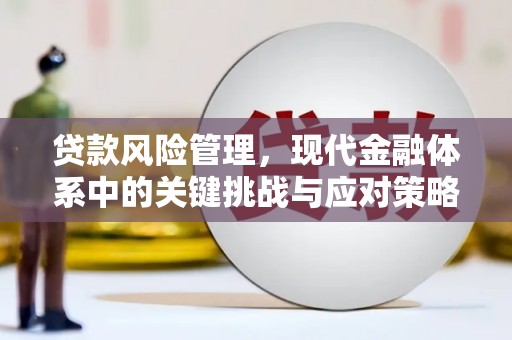秀林贷款风险管理，现代金融体系中的关键挑战与应对策略