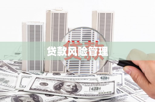 秀林贷款风险管理