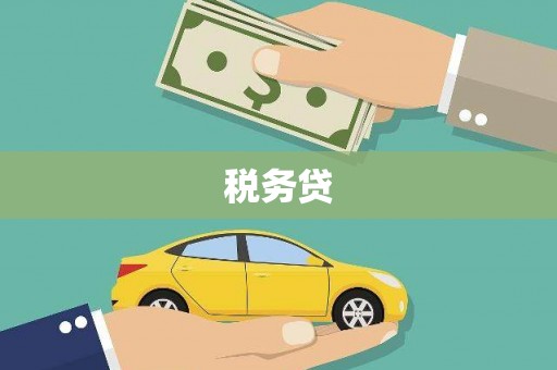 秀林税务贷