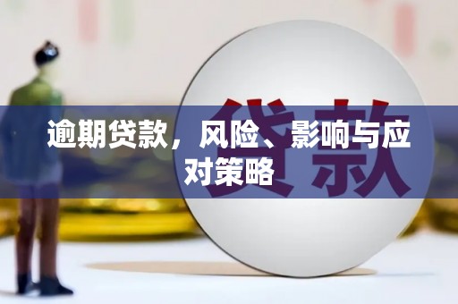 秀林逾期贷款，风险、影响与应对策略