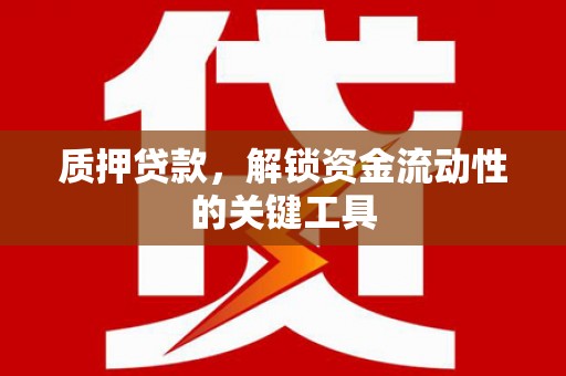 秀林质押贷款，解锁资金流动性的关键工具