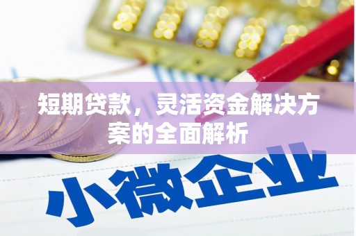 秀林短期贷款，灵活资金解决方案的全面解析
