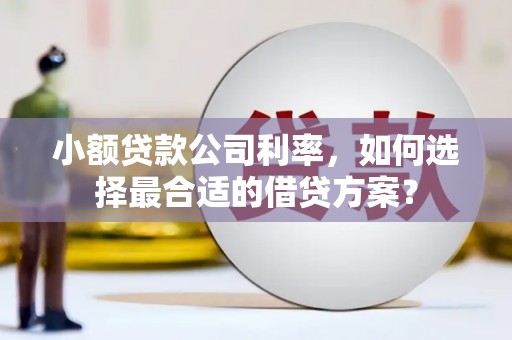 秀林小额贷款公司利率，如何选择最合适的借贷方案？