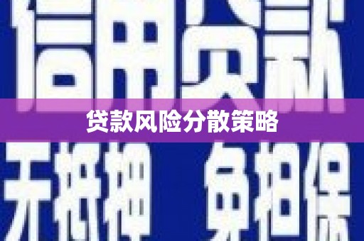 秀林贷款风险分散策略
