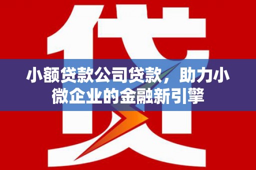 秀林小额贷款公司贷款，助力小微企业的金融新引擎