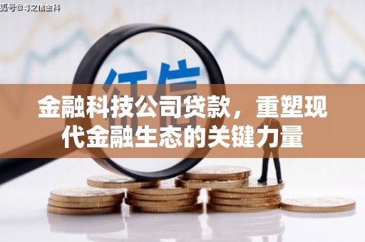 秀林金融科技公司贷款，重塑现代金融生态的关键力量