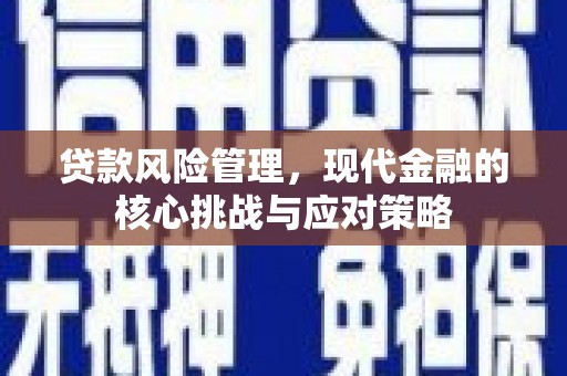 秀林贷款风险管理，现代金融的核心挑战与应对策略