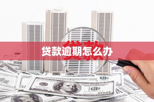 秀林贷款逾期怎么办