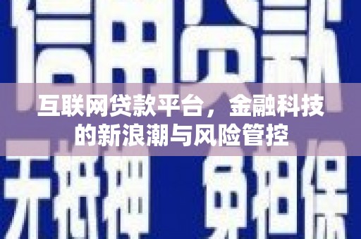 秀林互联网贷款平台，金融科技的新浪潮与风险管控