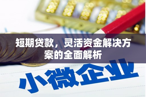 秀林短期贷款，灵活资金解决方案的全面解析
