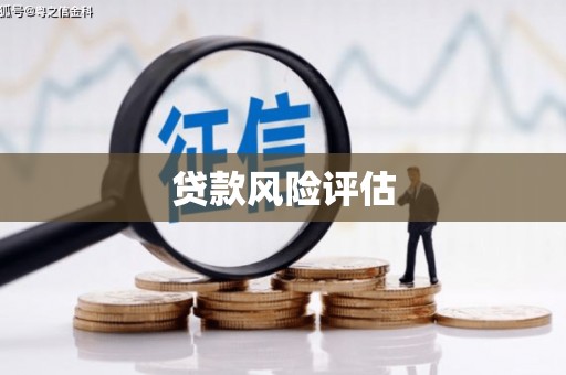 秀林贷款风险评估