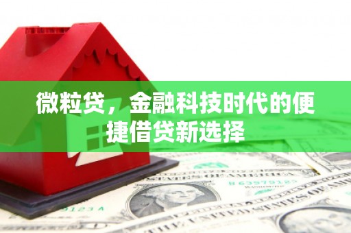 秀林微粒贷，金融科技时代的便捷借贷新选择