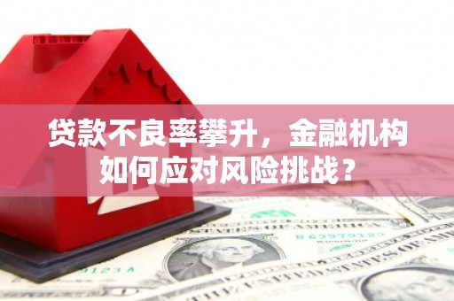 秀林贷款不良率攀升，金融机构如何应对风险挑战？