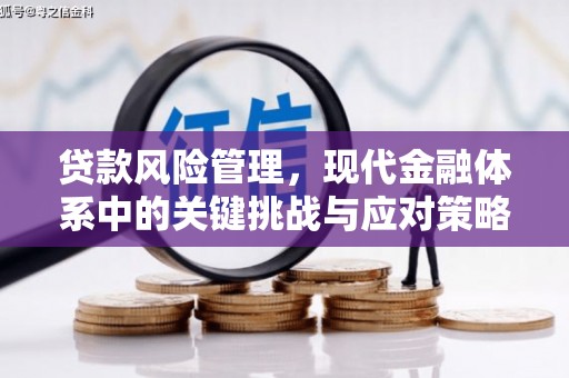 秀林贷款风险管理，现代金融体系中的关键挑战与应对策略