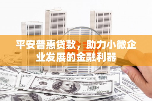 秀林平安普惠贷款，助力小微企业发展的金融利器