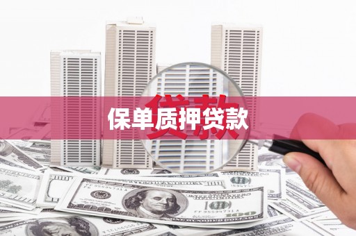 秀林保单质押贷款