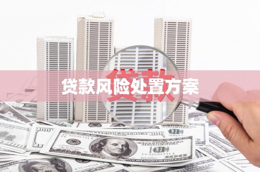 秀林贷款风险处置方案