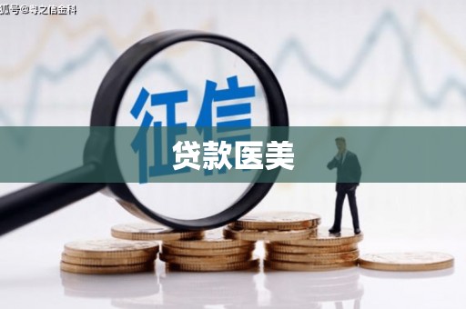 秀林贷款医美