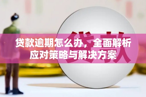 秀林贷款逾期怎么办，全面解析应对策略与解决方案