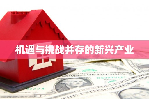 秀林机遇与挑战并存的新兴产业